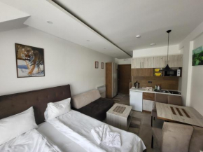 Milmari Vesela Apartment P71